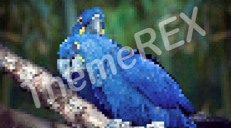Post With Image