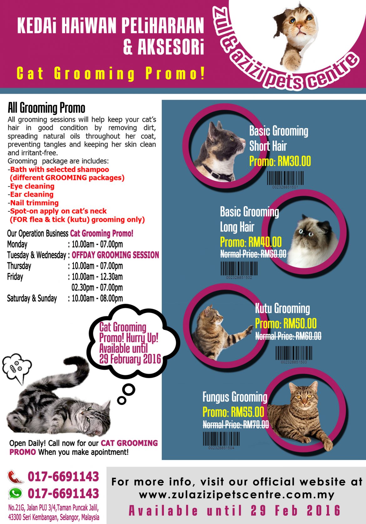 Cat Grooming Promo!