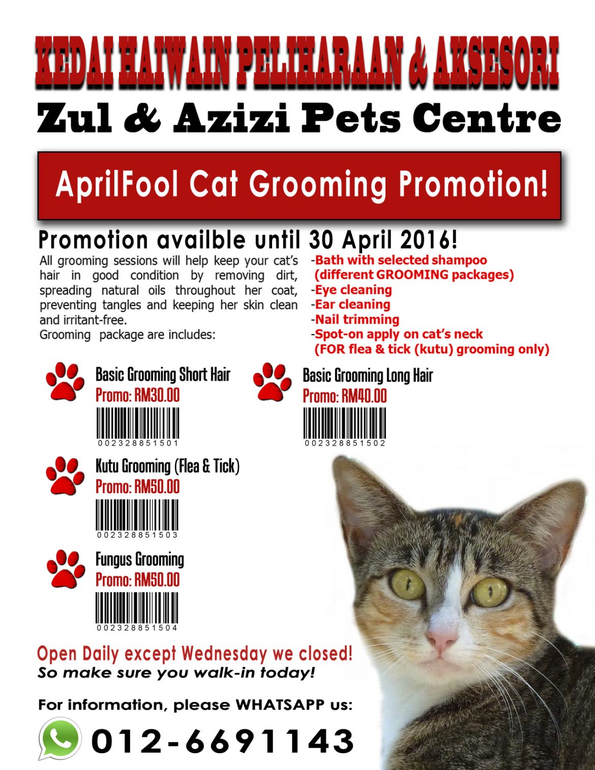 AprilFool Cat Grooming Promotion!